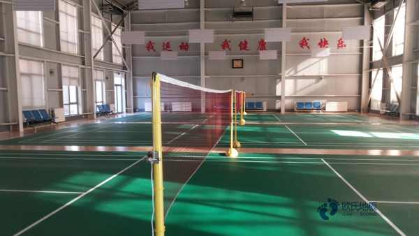 學(xué)?；@球場(chǎng)館地板的技術(shù)參數(shù)1