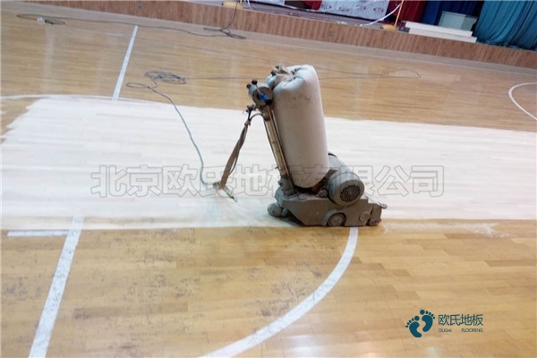 楓樺木運動籃球木地板多少錢能下來